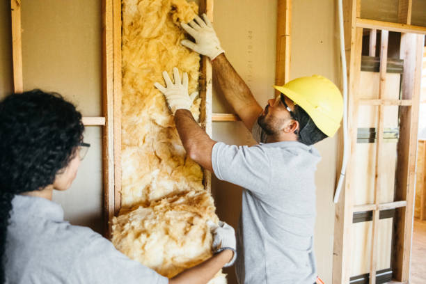 Best Blown-in Insulation  in USA